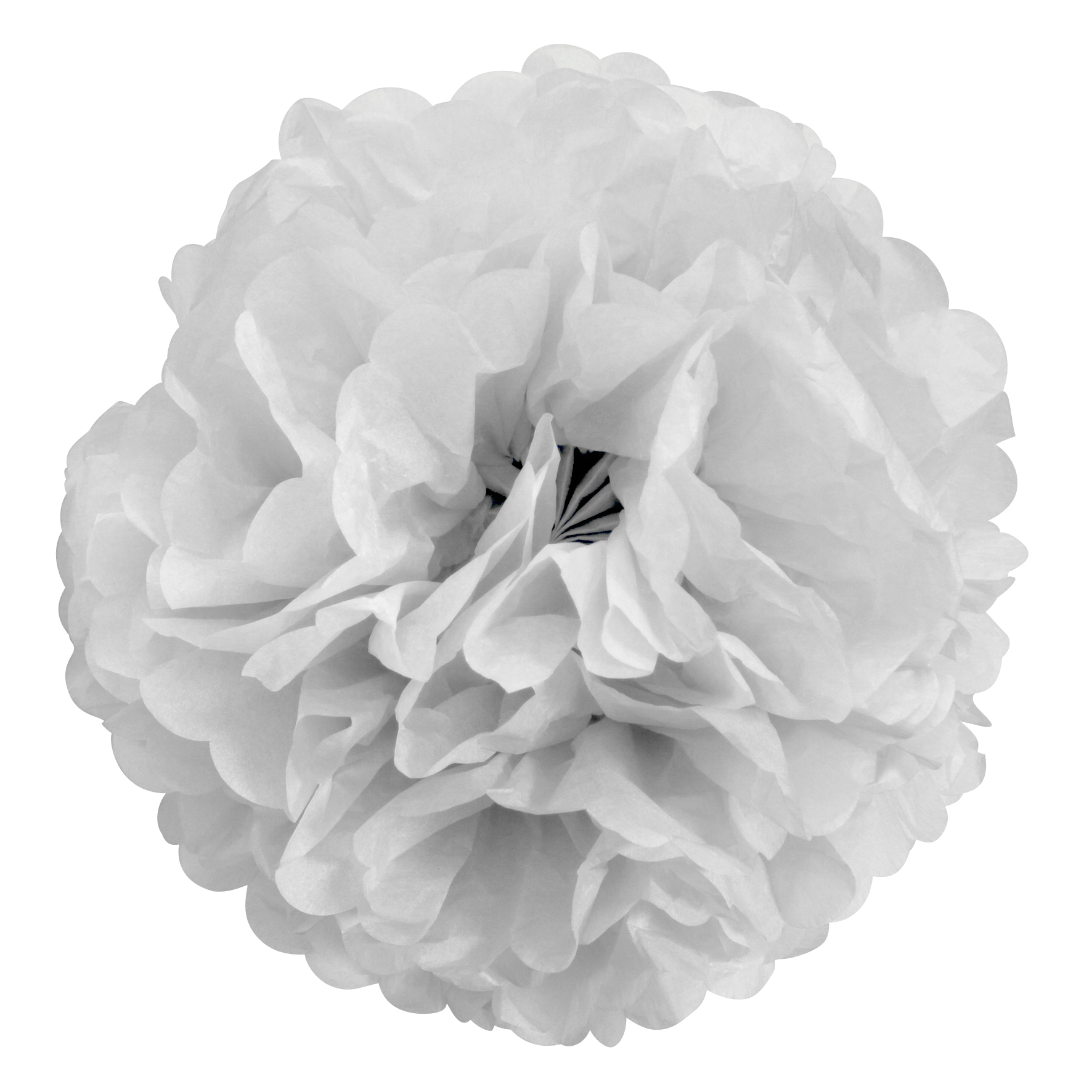 image illustration