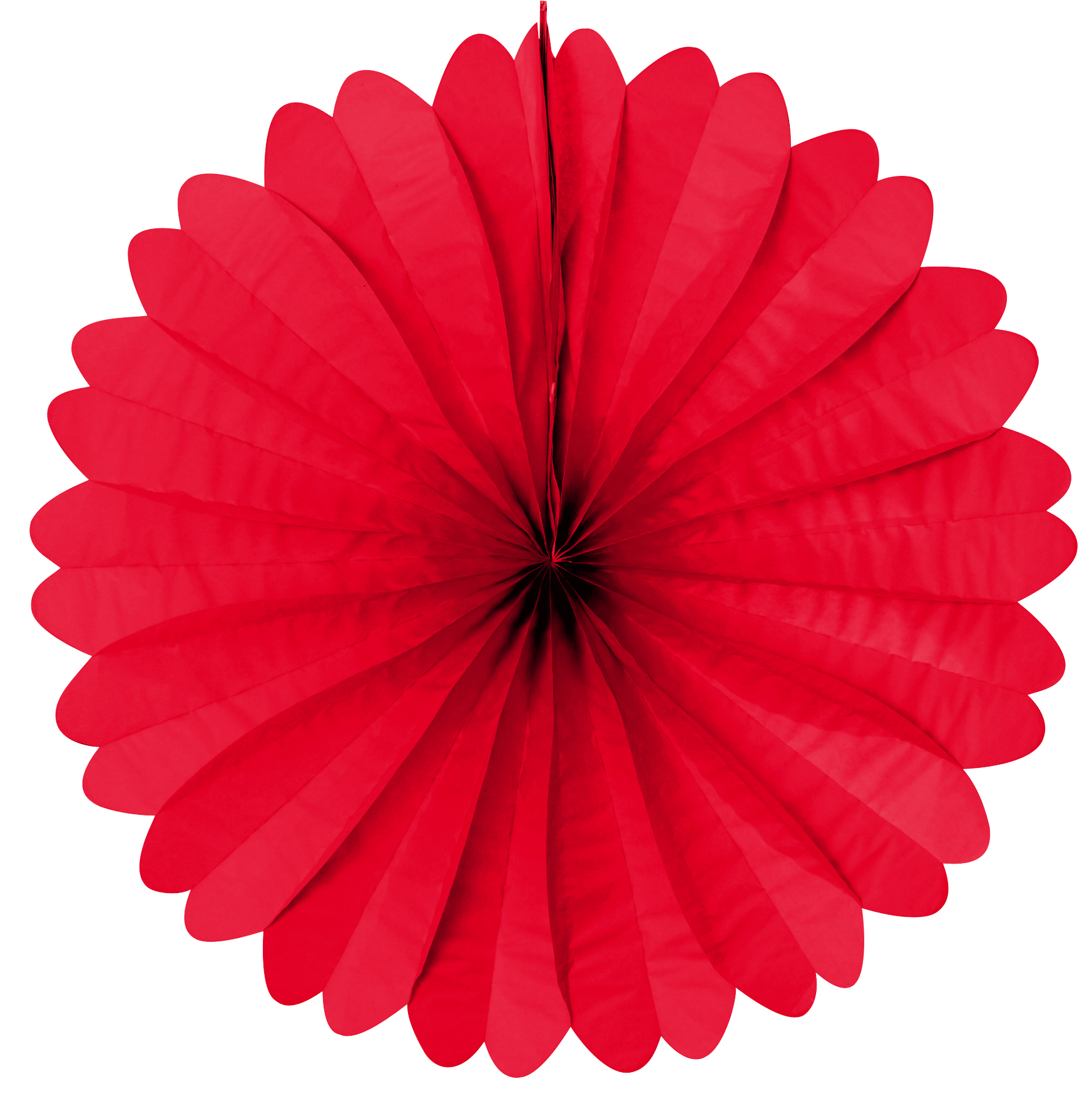 image illustration