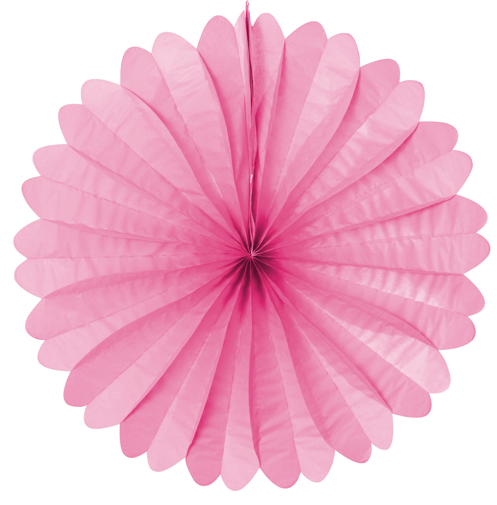 image illustration